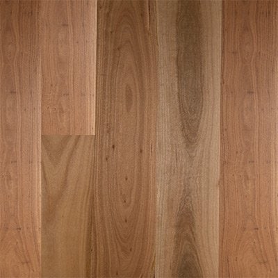 Blackbutt Wideboard Matte Brushed