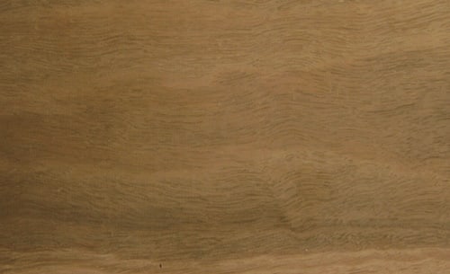 Grey Ironbark