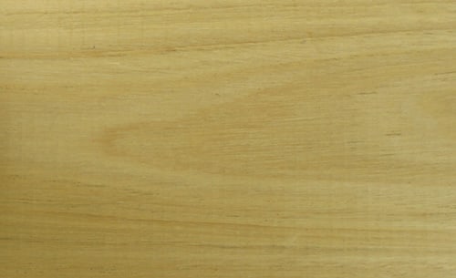 New England Blackbutt