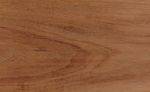 Red Ironbark