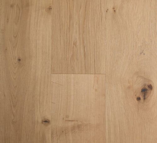 Regal Oak