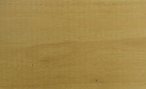 Silvertop Stringybark Engineered
