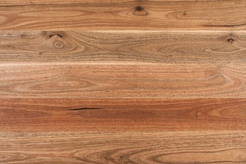 Spotted Gum Boral 14mm Engineered