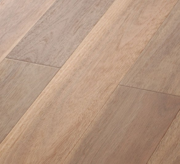 Spotted Gum – Brushed Matte