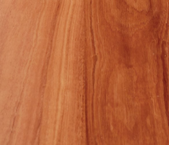 Sydney Blue Gum Engineered
