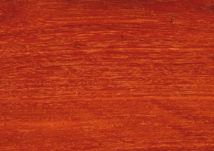Forest Red Gum