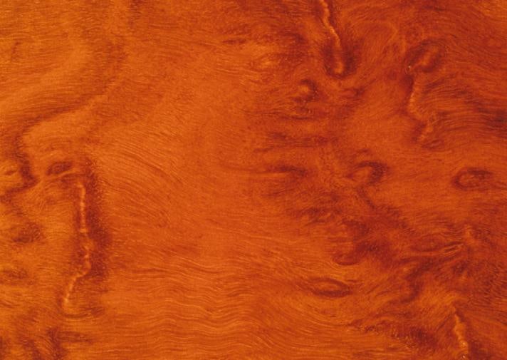 Red Ironbark