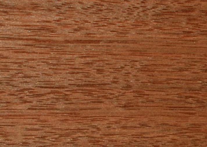 Red Mahogany