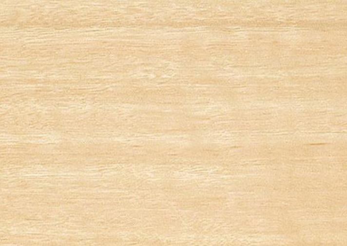 Silvertop Stringybark