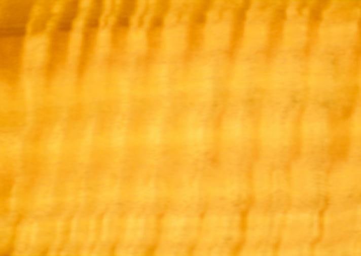 Southern Blue Gum Solid Timber