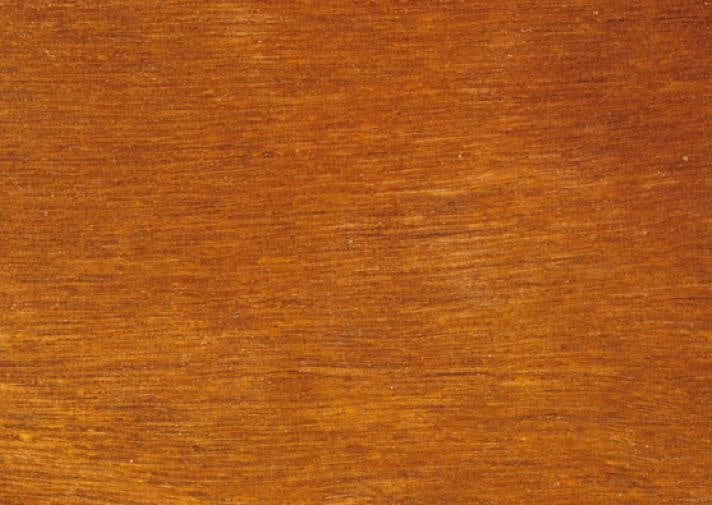 Spotted Gum