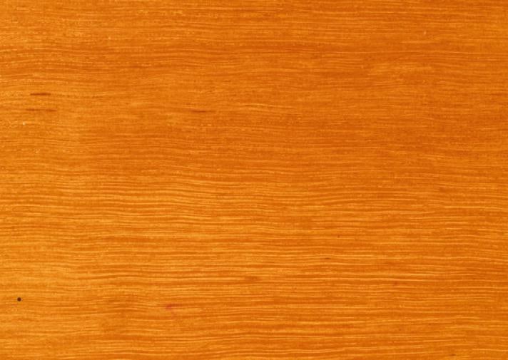 Sydney Blue Gum Solid Timber