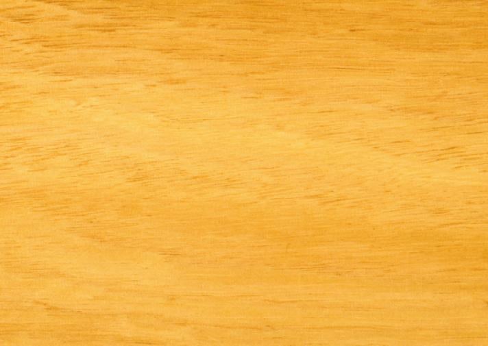 Tasmanian Oak