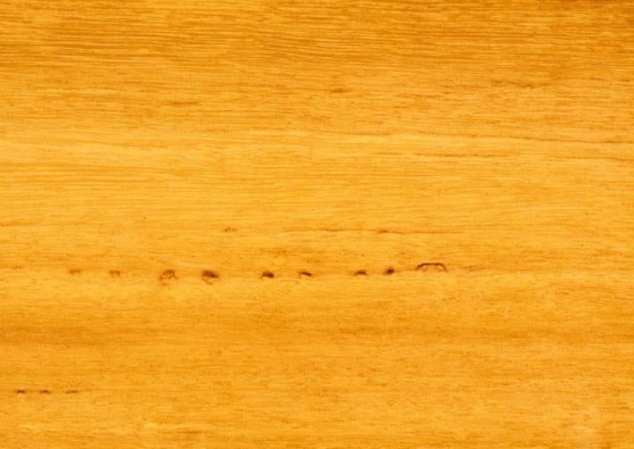 White Mahogany