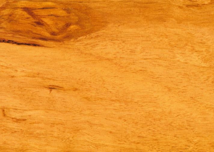 Yellow Stringybark