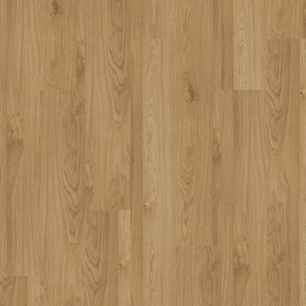 Ash Brown