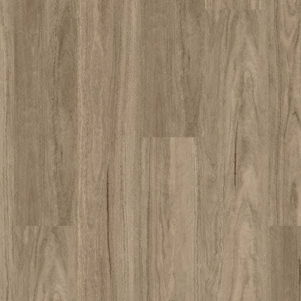Grey Gum
