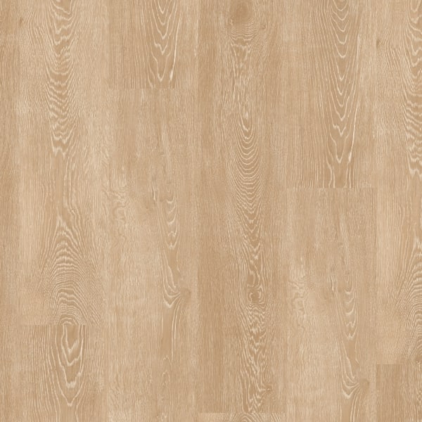 Silky Oak