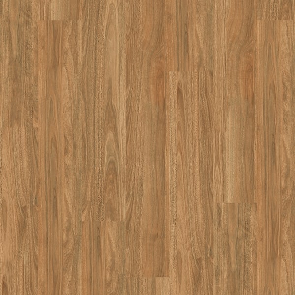 Spotted Gum