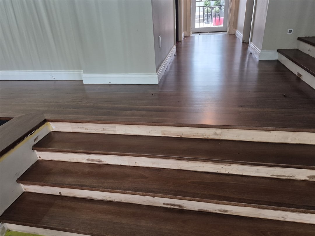 Steps up to the dark-stained blackbutt hallway, Brisbane