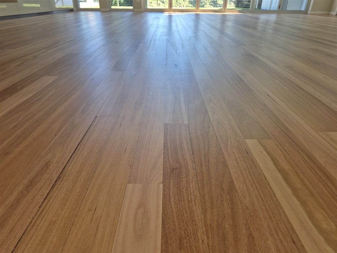 Matt-finished blackbutt across the living space, Brisbane