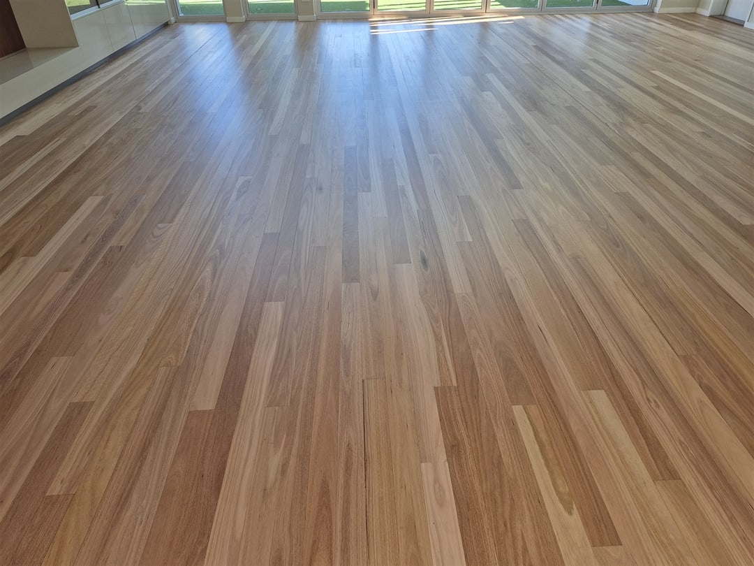 Wide view of the blackbutt floor, Brisbane