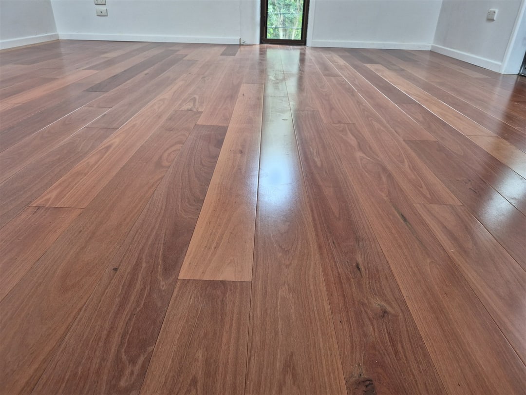 Gloss blue gum floor across an empty room, Brisbane