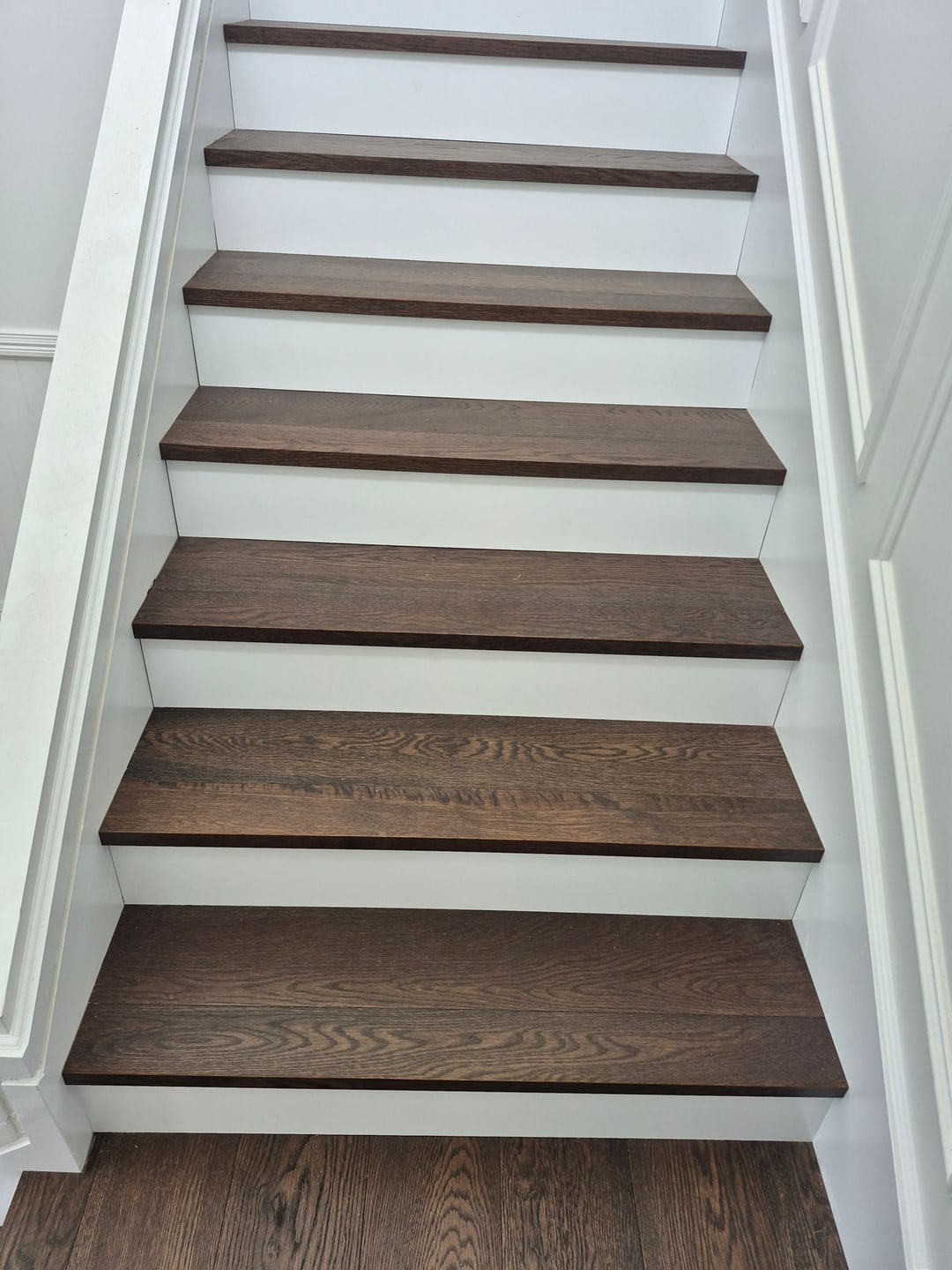 Walnut engineered timber stair treads with white risers, Graceville, Brisbane