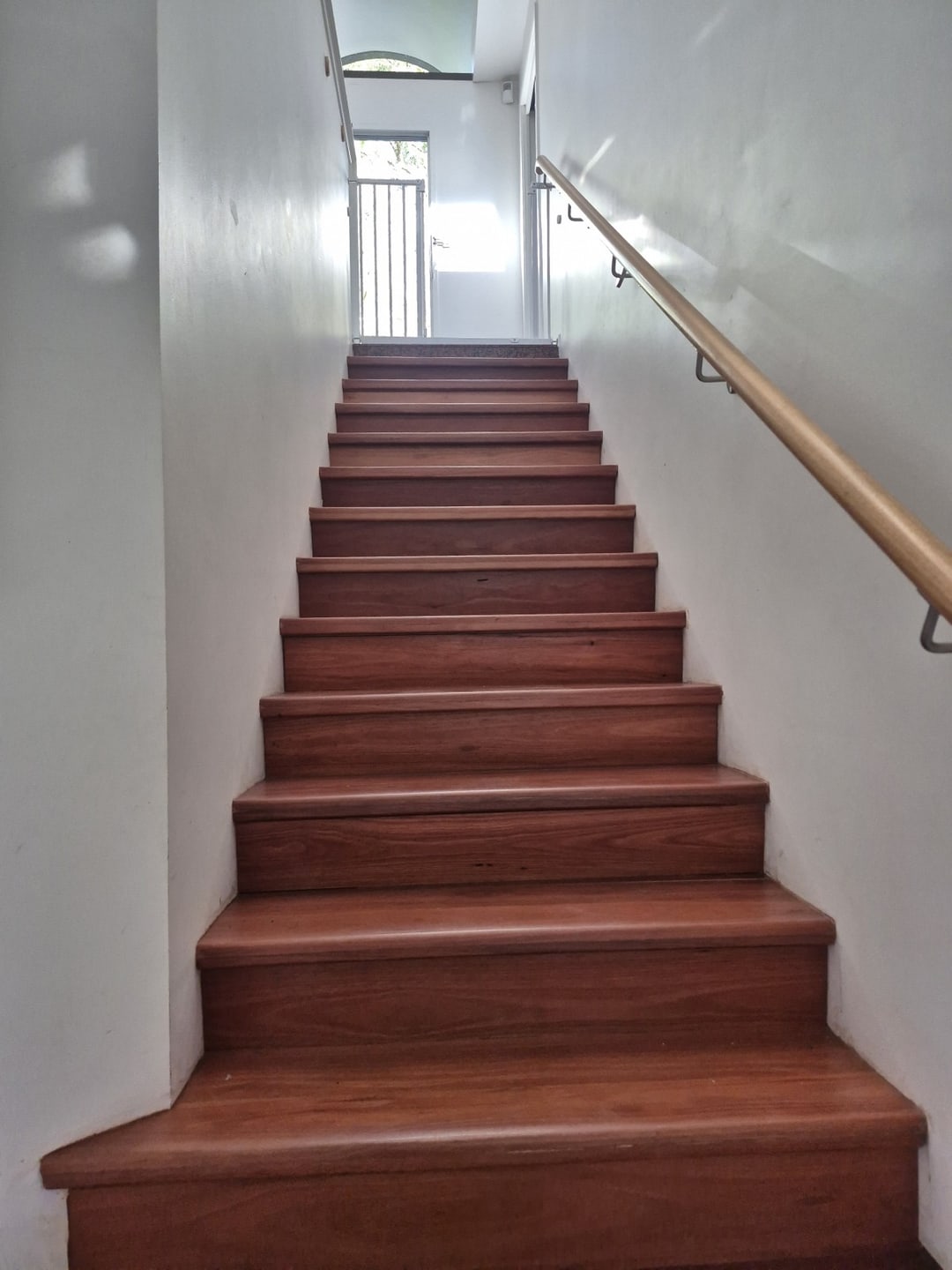 Looking up the full flight of jarrah stairs, Brisbane