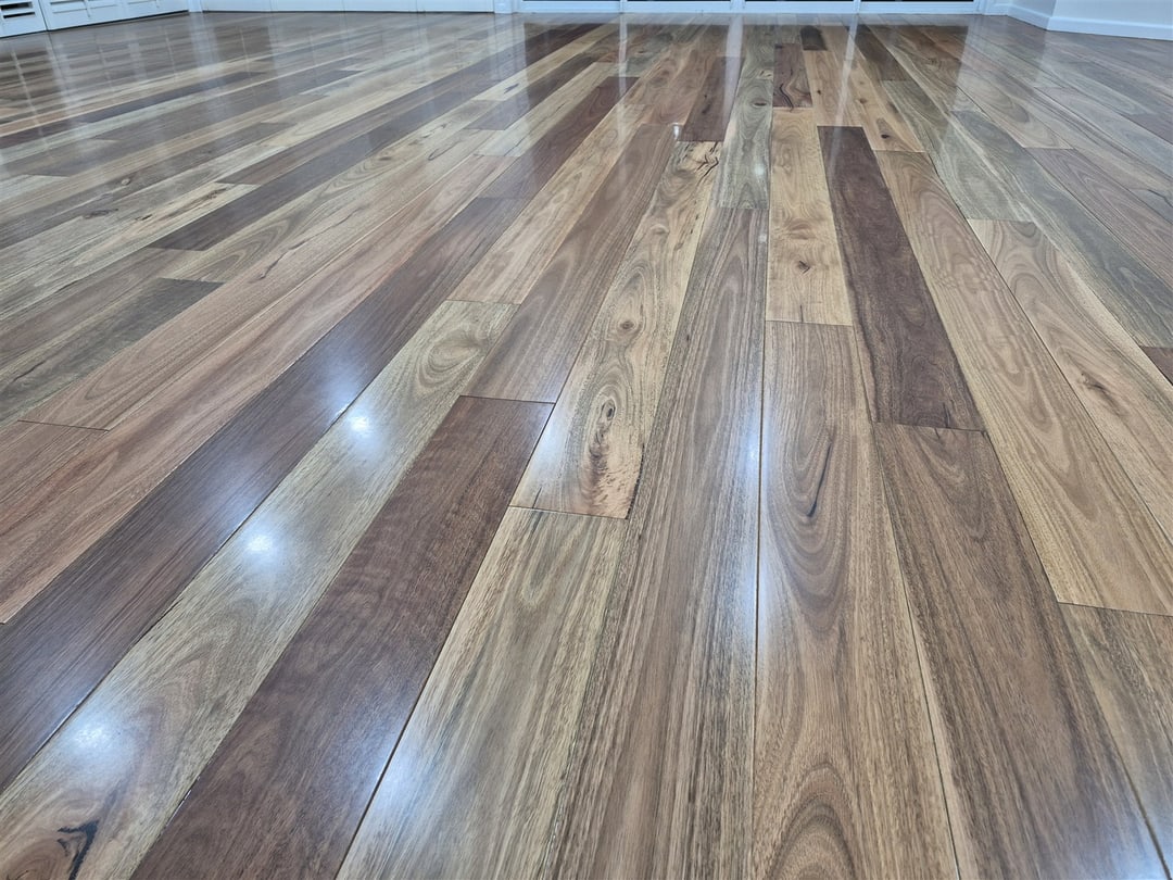 Close view of the gloss spotted gum, Brisbane