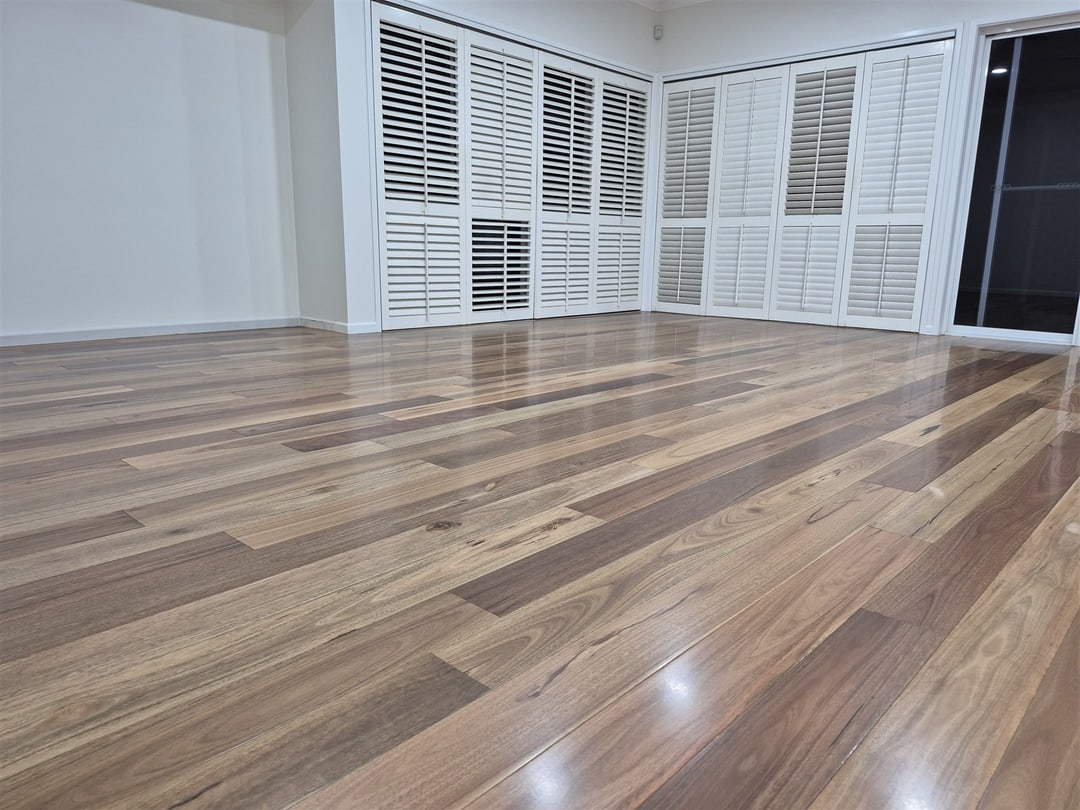 Spotted gum in the living area with plantation shutters, Brisbane