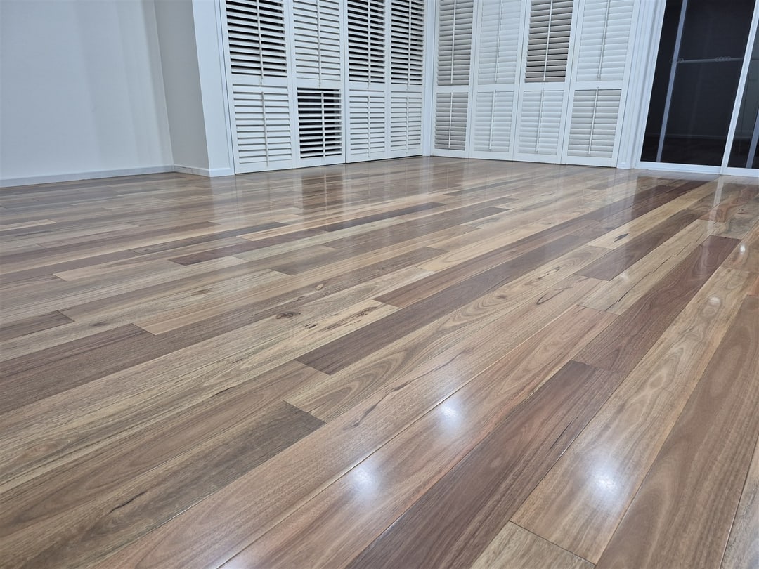 Gloss spotted gum across the living room, Brisbane
