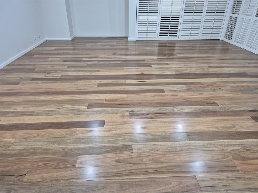 Spotted gum boards in front of the shutters, Brisbane