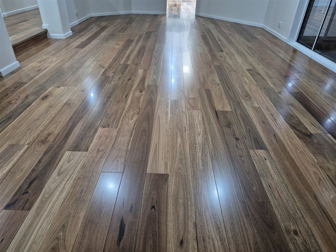 Wide view of the spotted gum floor, Brisbane