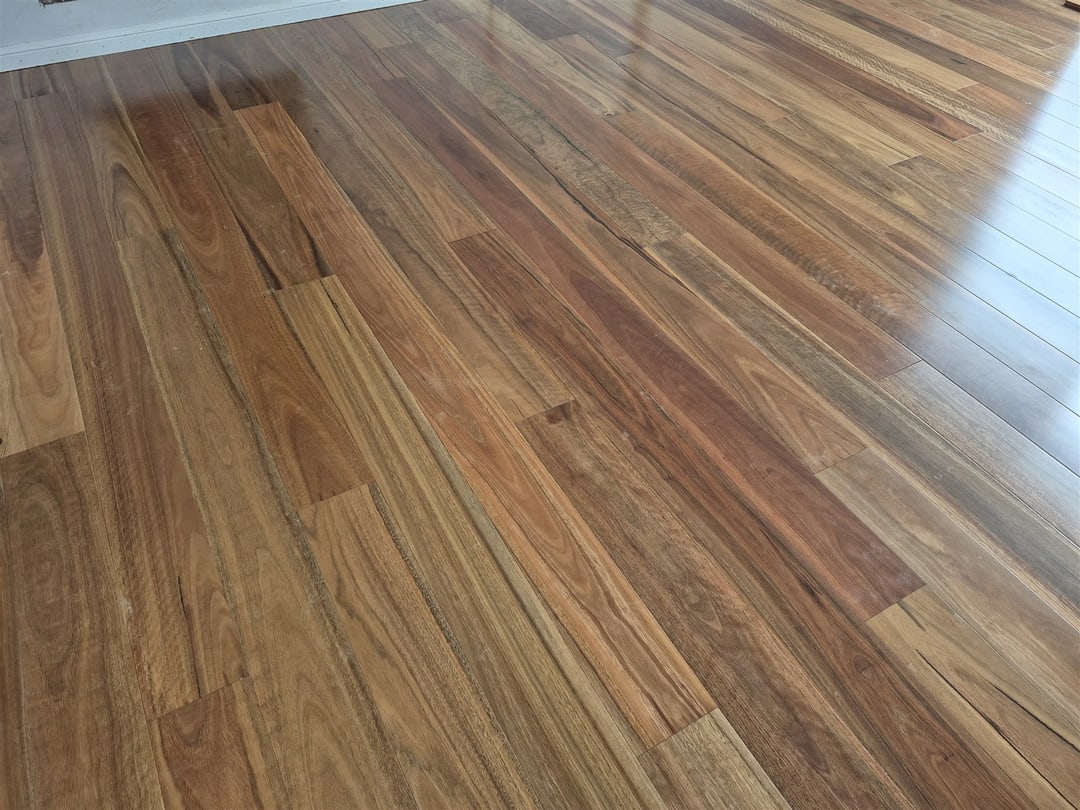Spotted gum grain under a gloss finish, Brisbane