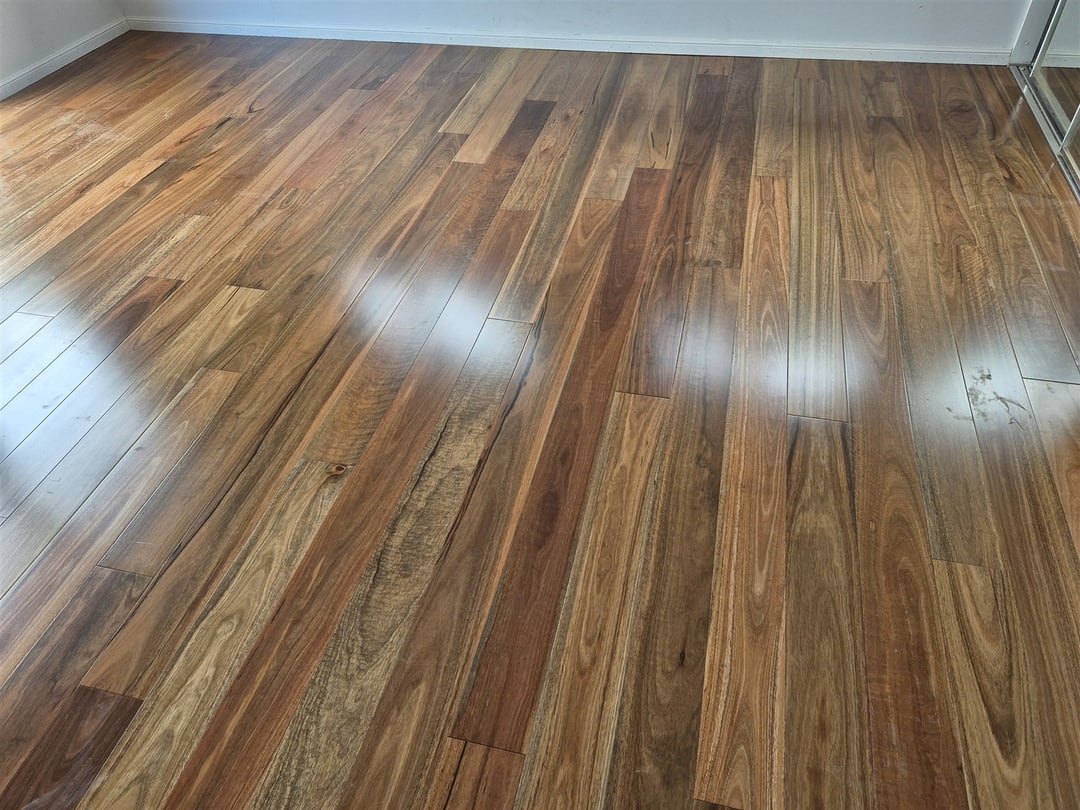 Gloss spotted gum floor across the room, Brisbane
